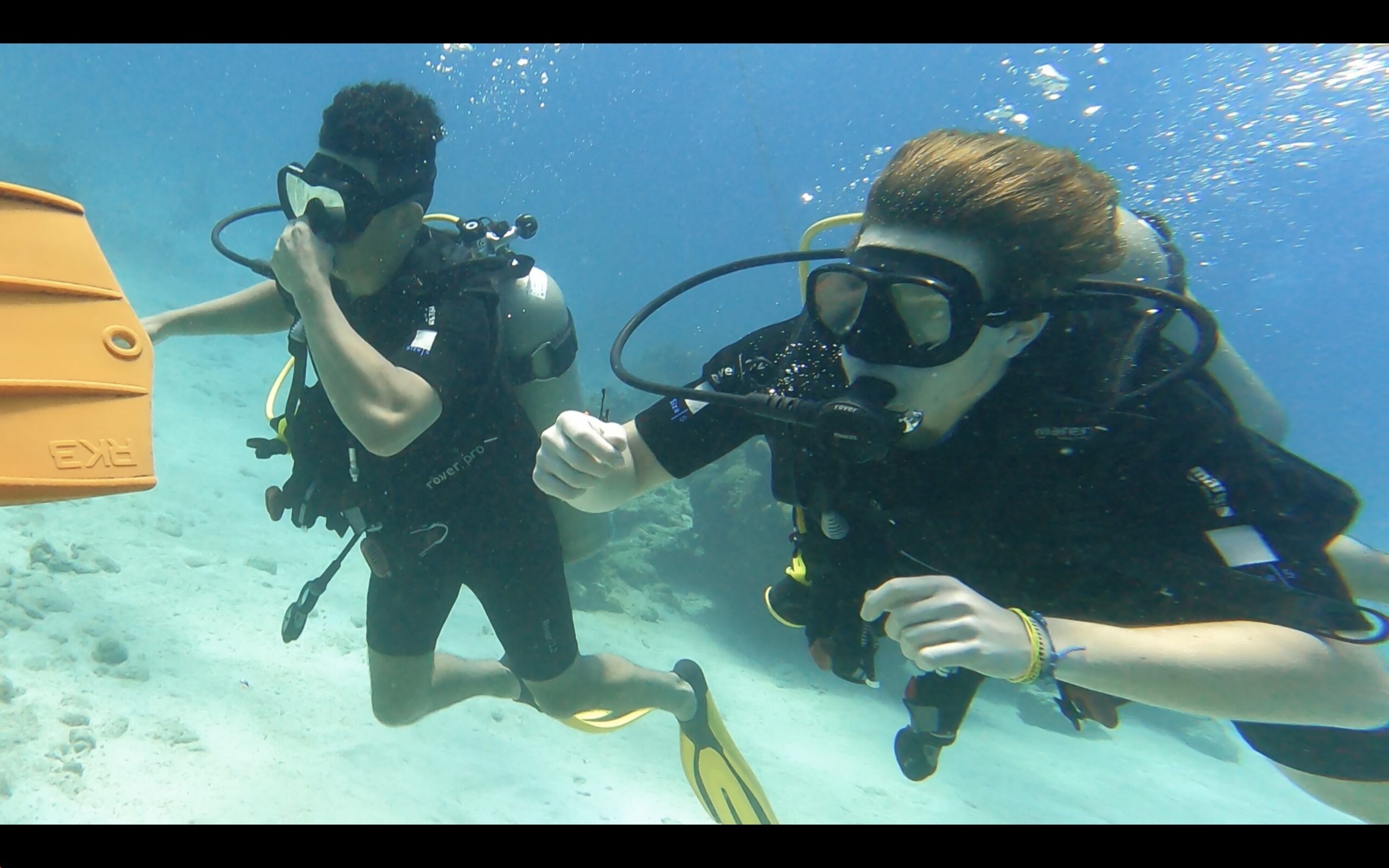 Roatan cover