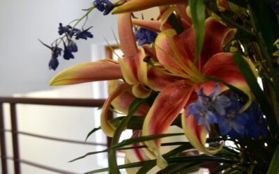 Day 154 In the Hallway