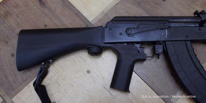 GuncontrolWEB