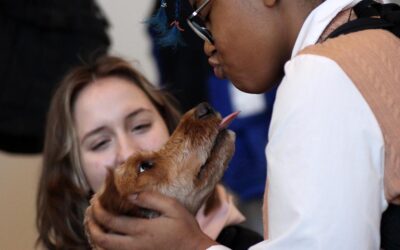 Therapy animals prove calming influence