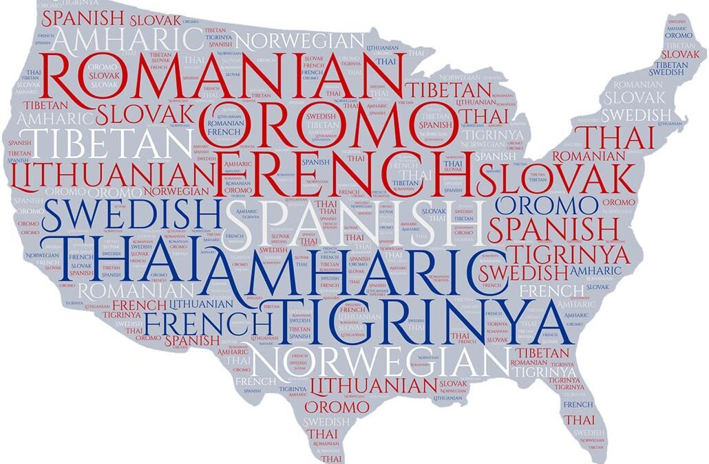 Diversity at Minnehaha: Family Languages