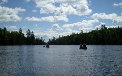 Rollback to the future