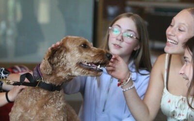 Support dogs visit MA