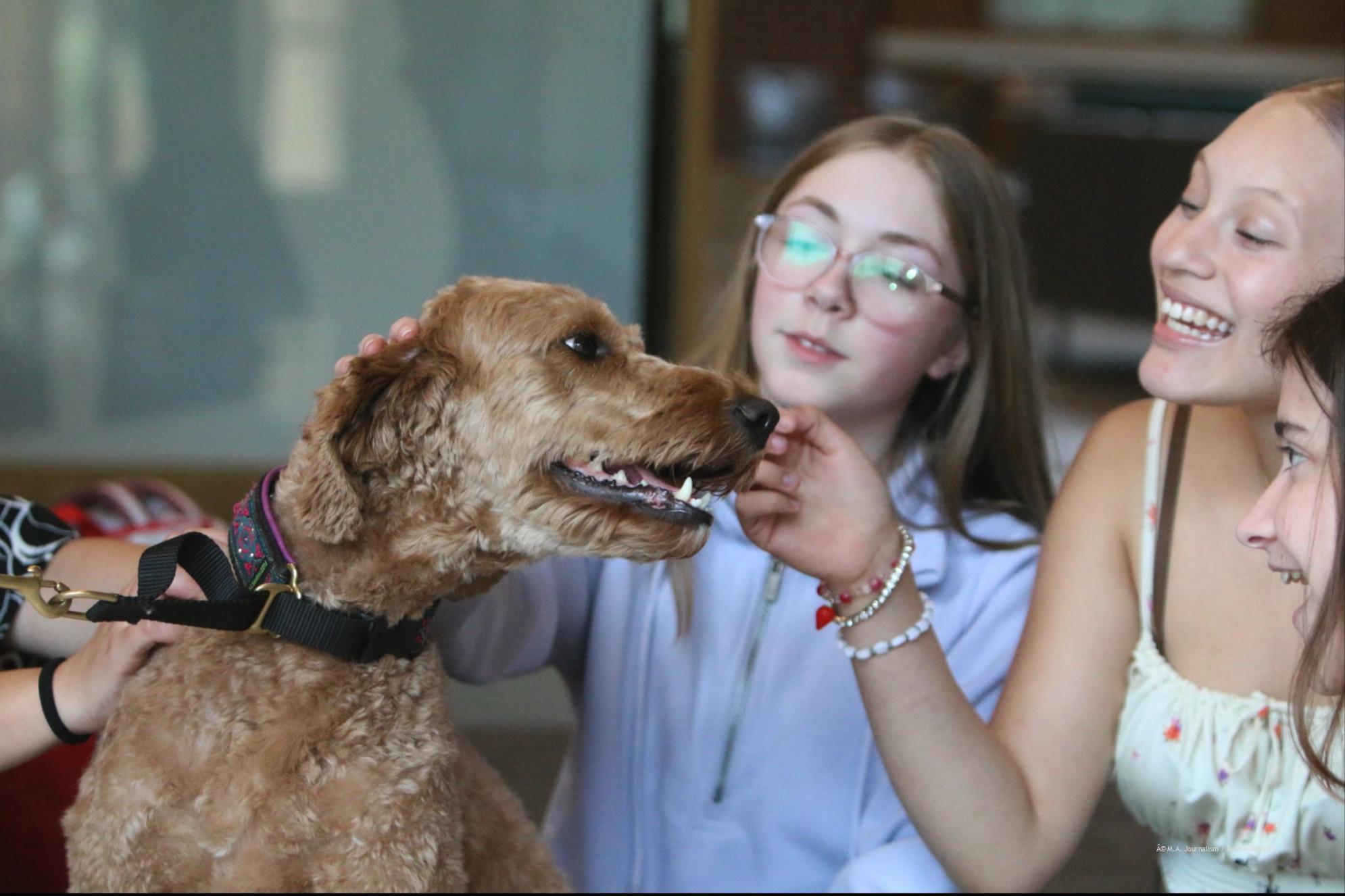 MA Students Pet a Support Dog