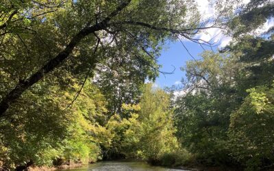 Time in nature has proven health benefits