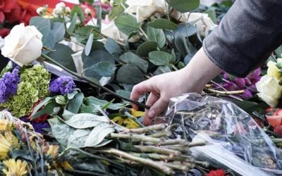 Stories of Struggle: Noemi (Spanish)