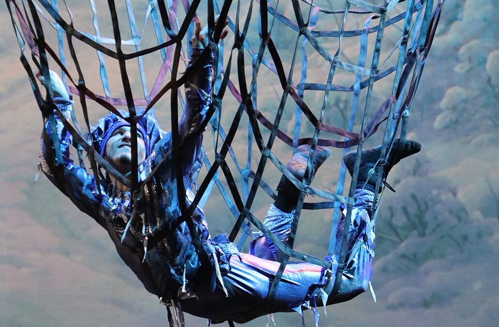 Life in the circus